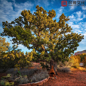 男生互摸jiji㊙️隐私漫画
